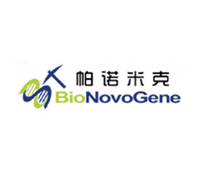 派诺米克